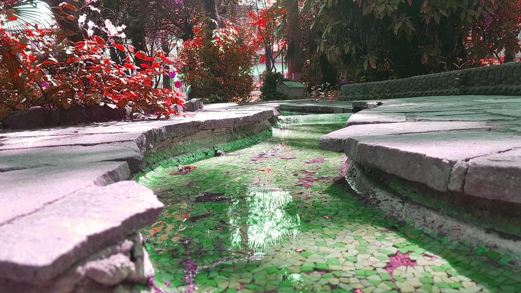 Hotel Terme Villa Piave アーバノ・テルメ エクステリア 写真